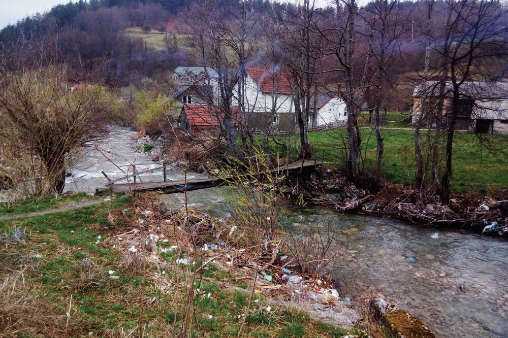 Svinjača, Foto: Dragana Šćepanović