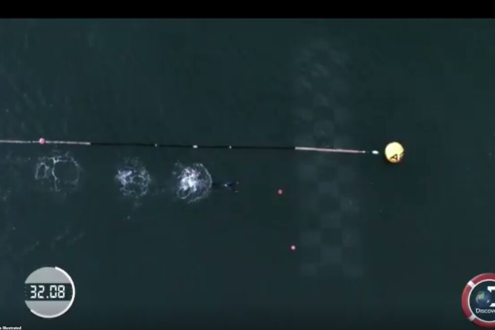 Majkl Felps, Foto: Screenshot (YouTube)