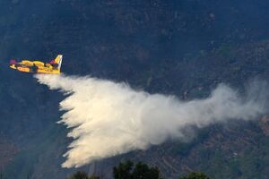 U Portugalu ponovo bjesne šumski požari