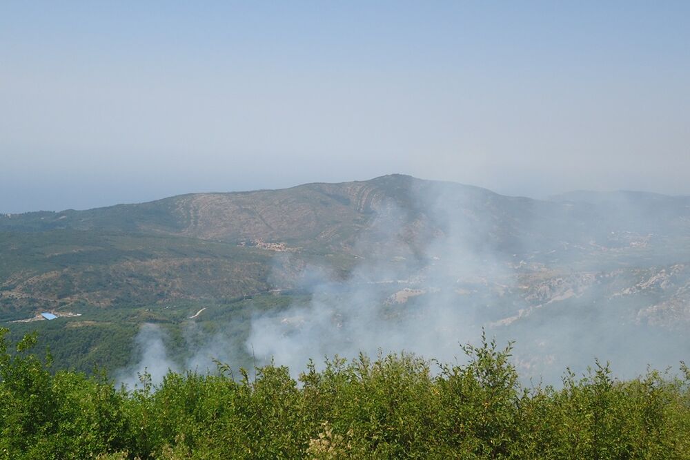 požar Herceg Novi, Foto: Slavica Kosić