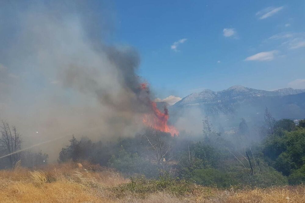 požar Grabovac, Foto: Služba zaštite i spašavanja Tivat