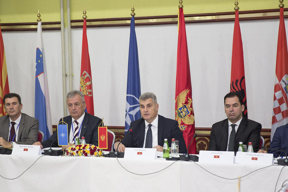 konferencija Cetinje, Ivan Brajović, Zoran Pažin, Foto: Vlada Crne Gore
