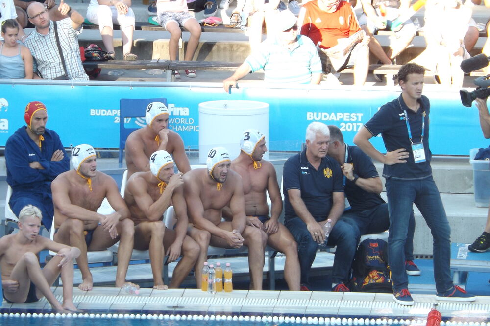 Vladimir Gojković SP u Budimpešti, Foto: Wpolo.me