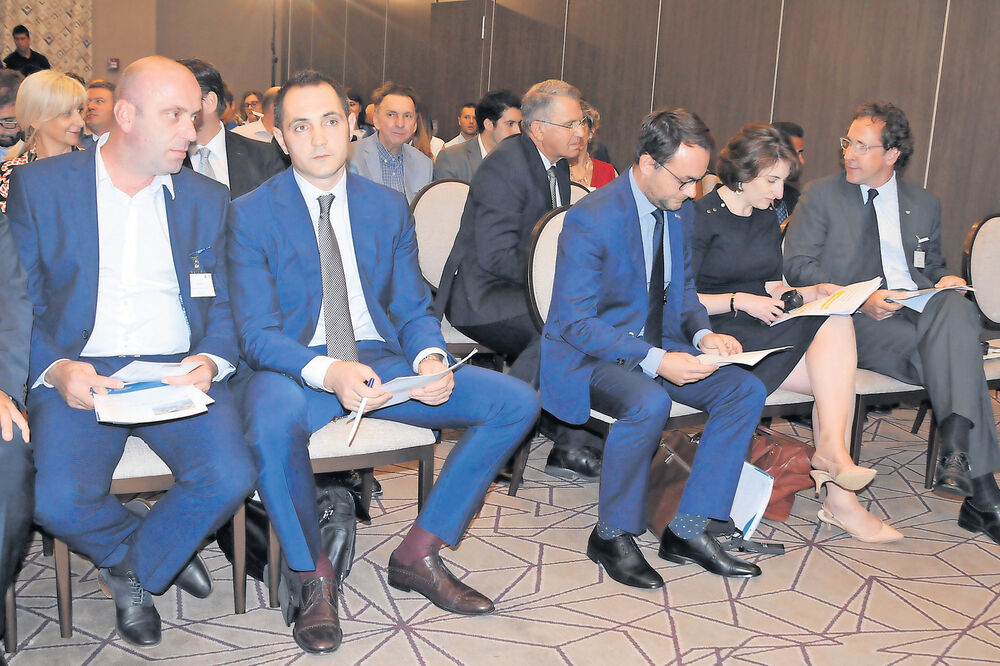 Pavle Radulović, Foto: Zoran Đurić