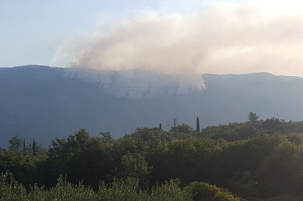 Požar, Konavle, Foto: Betaphoto/HINA