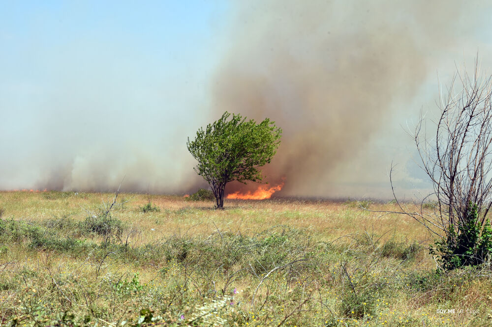 požar Podgorica, požari Podgorica, Foto: Gov.me/B.Ćupić