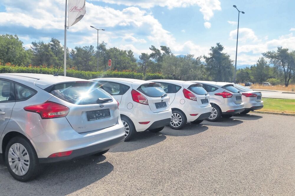 auta, Plantaže, Foto: Privatna arhiva