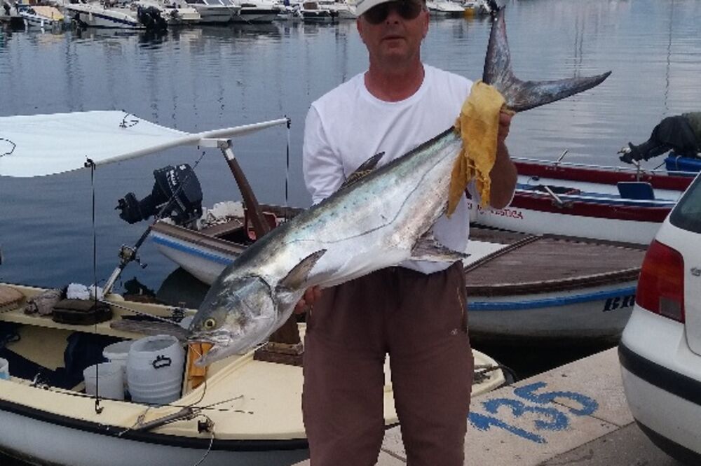 ulov mjeseca, Foto: UNA