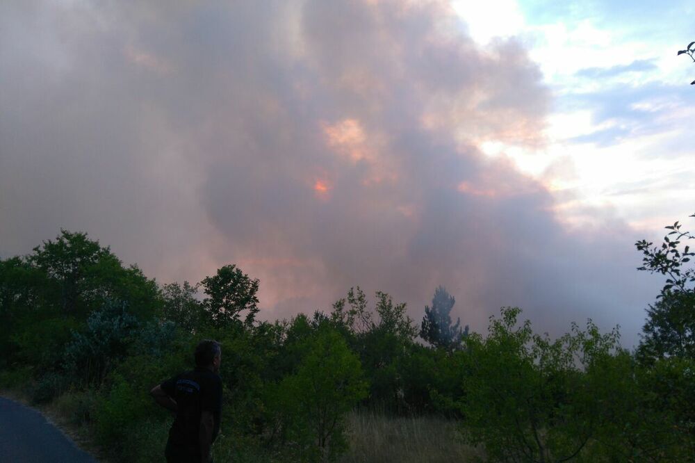 požar Cetinje, požari Cetinje