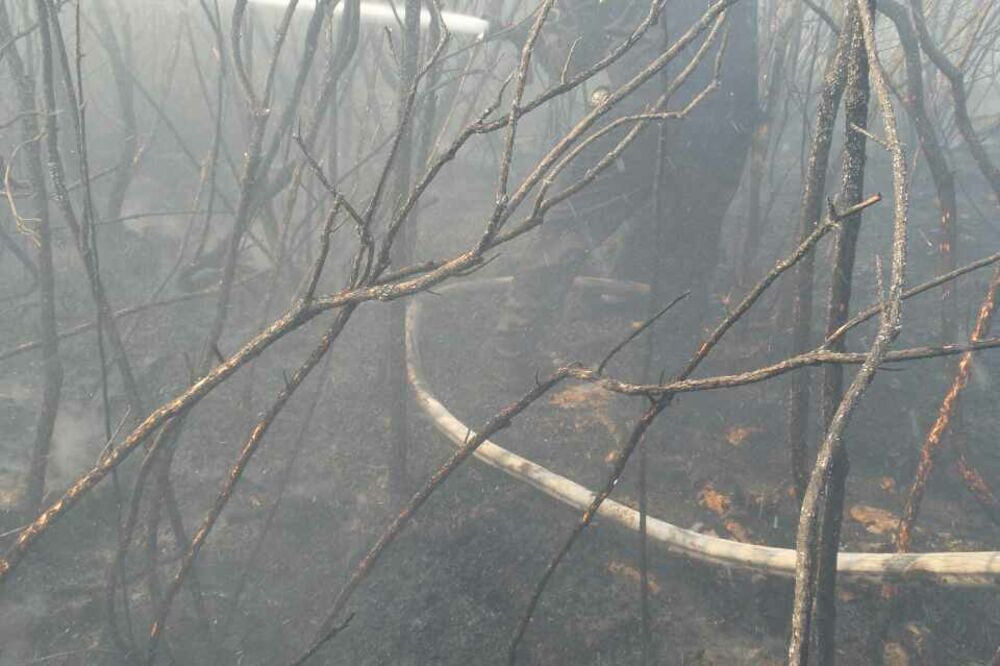 Tivat požar, Foto: Služba zaštite Tivat