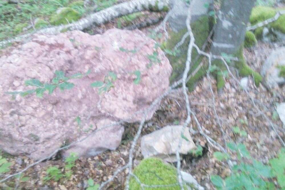 kamenje, Štitarici, Foto: Privatna arhiva