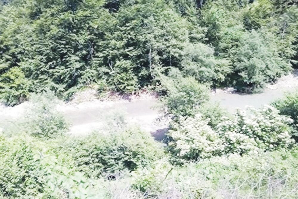 Rijeka Tara, Foto: Privatna arhiva