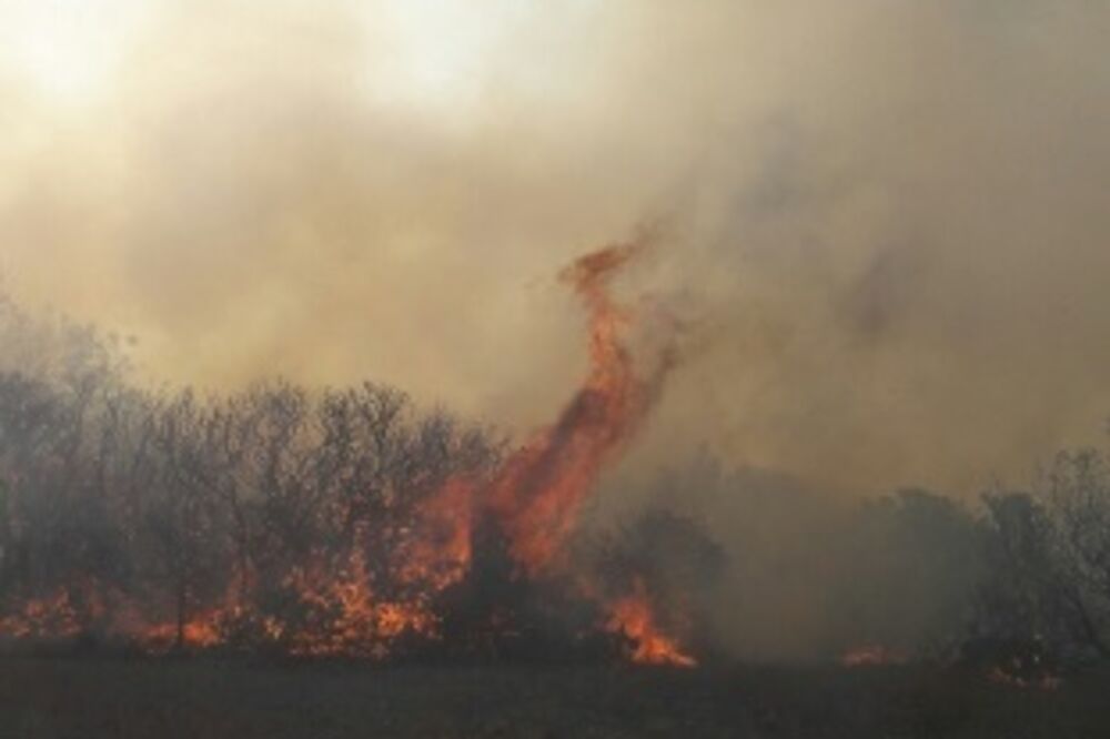 Vojska požar, VCG požar, Foto: Ministarstvo odbrane Crne Gore