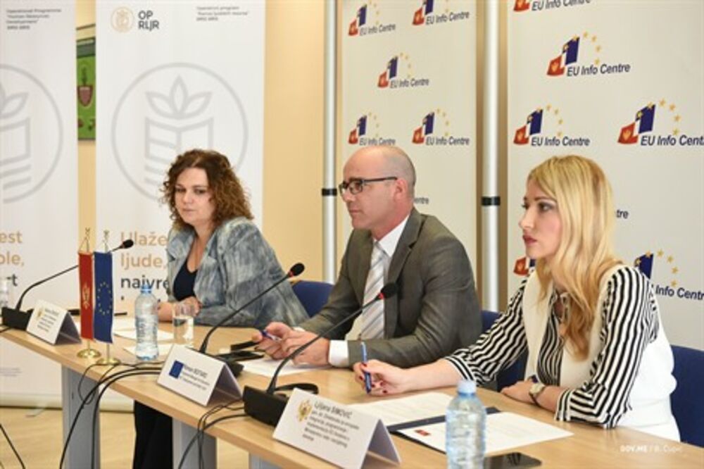 Konferencija, Razvoj ljudskih resursa 2012-2013, Foto: EU Info Centar