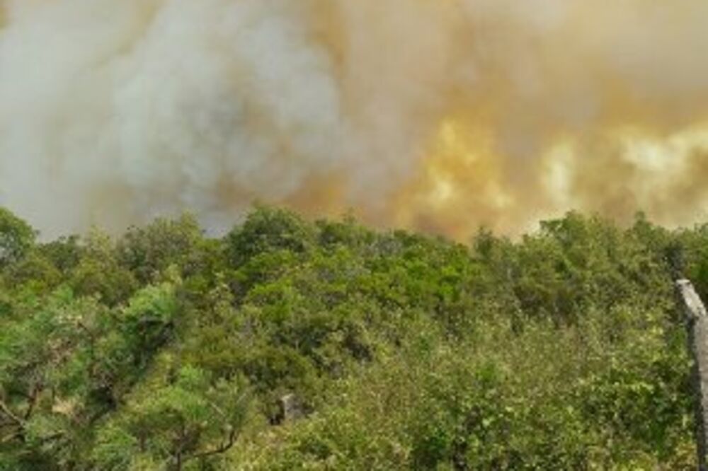 Vojska požar, VCG požar, Foto: Ministarstvo odbrane Crne Gore