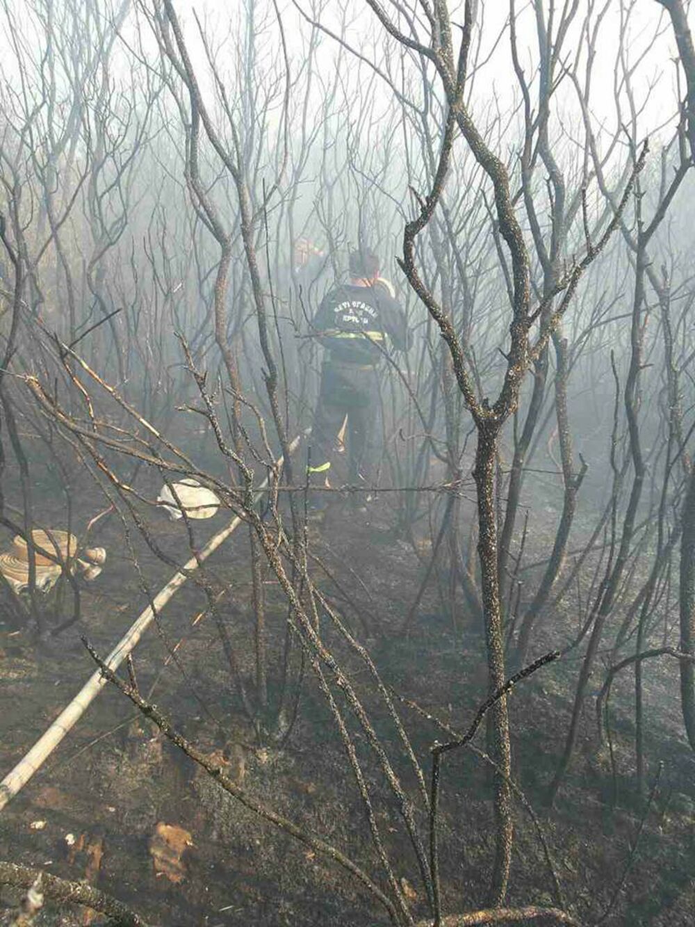 Vatrogasci sa Luštice