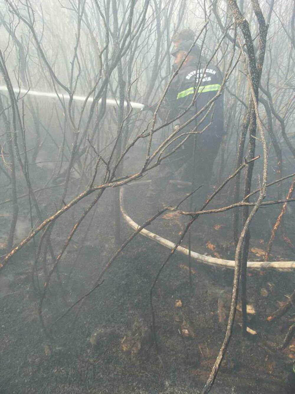 Vatrogasci sa Luštice