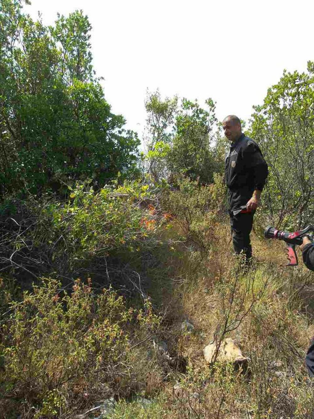 Vatrogasci sa Luštice