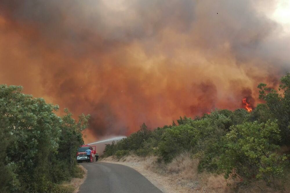 Luštica požar, Foto: Slavica Kosić