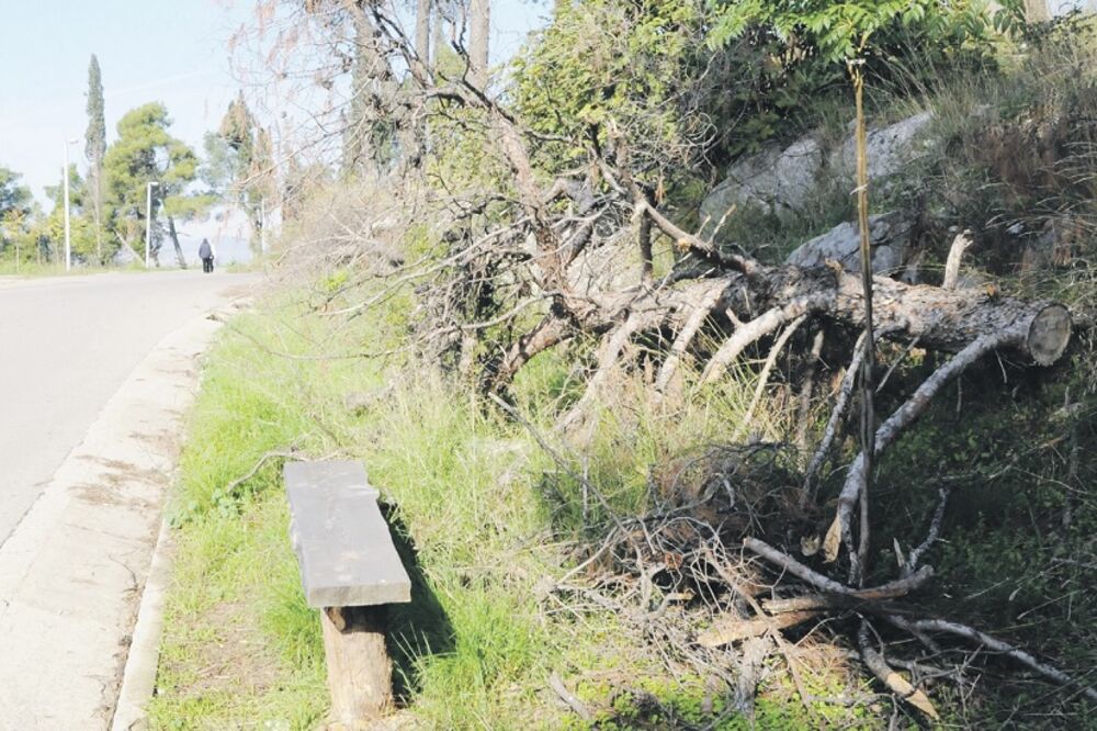Ljubović, Foto: Zoran Đurić