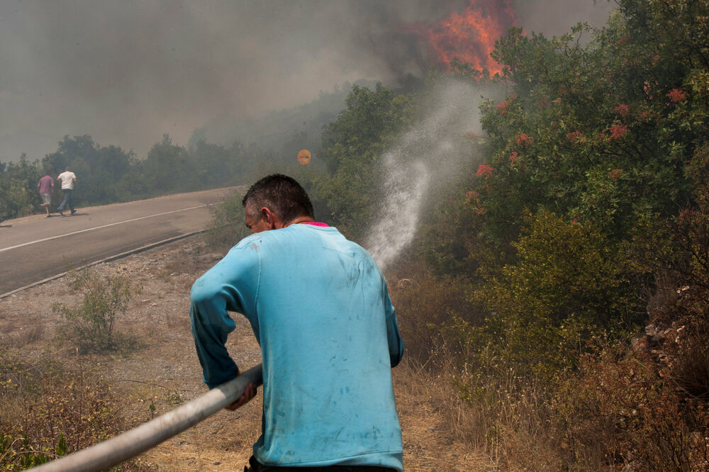 Luštica požar, Foto: Reuters