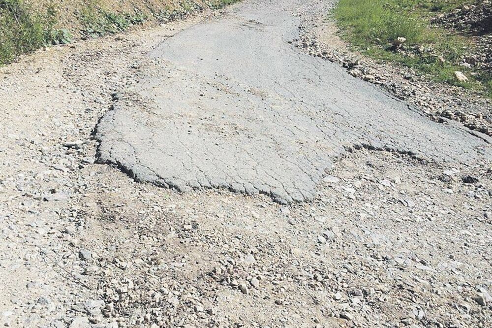 put vraneš, Foto: Jadranka Ćetković