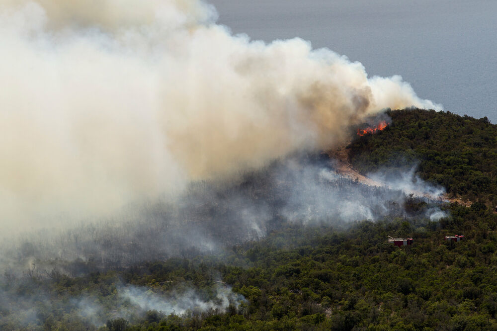 Luštica požar, Foto: Reuters