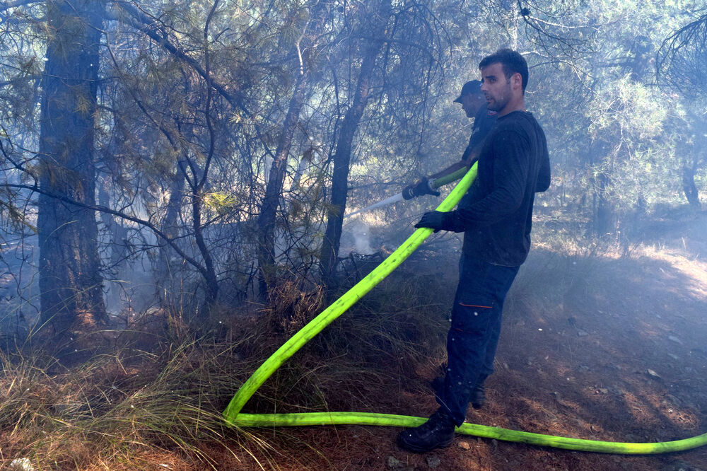 Ljubović požar, Foto: Luka Zeković