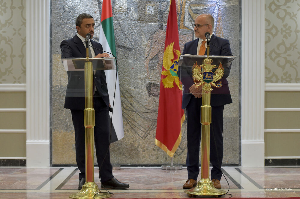 Srđan Darmanović, bin Zajed, UAE, Foto: Ministarstvo vanjskih poslova