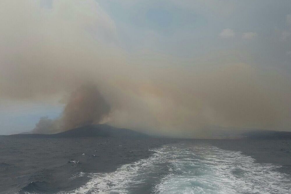 Luštice požar, Foto: Čitalac Vijesti
