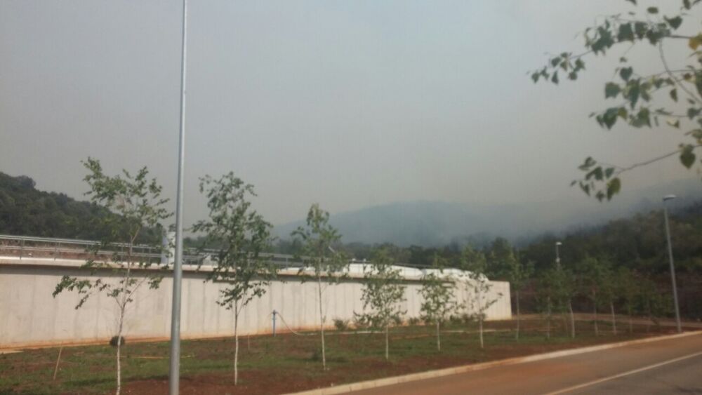 požar Tivat, požar Solila