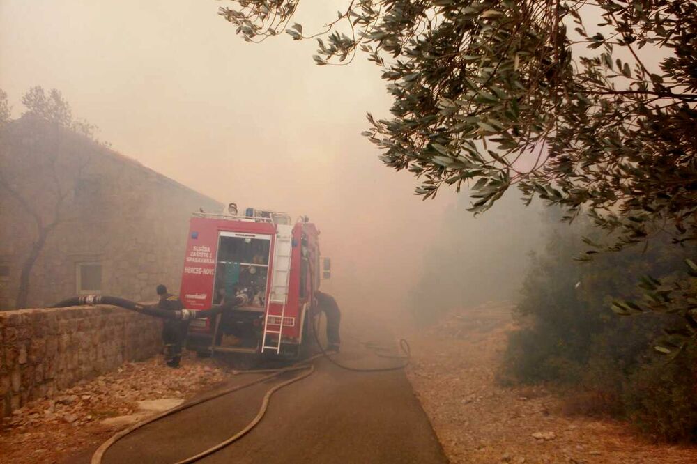 Pozar, Foto: Nina Marković