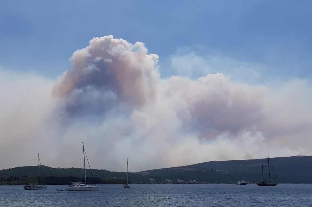 požar Luštica, Foto: Čitalac reporter