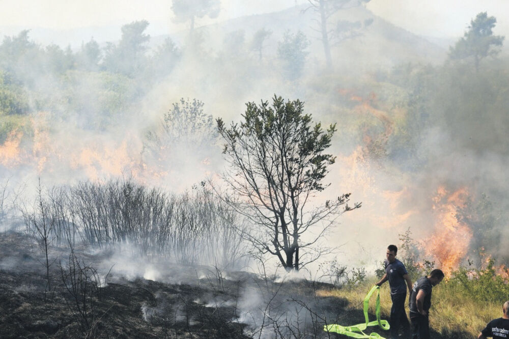 Podgorica požar, Foto: Boris Pejović