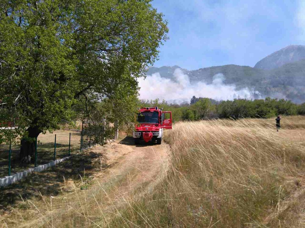 požar Cetinje, požari Cetinje