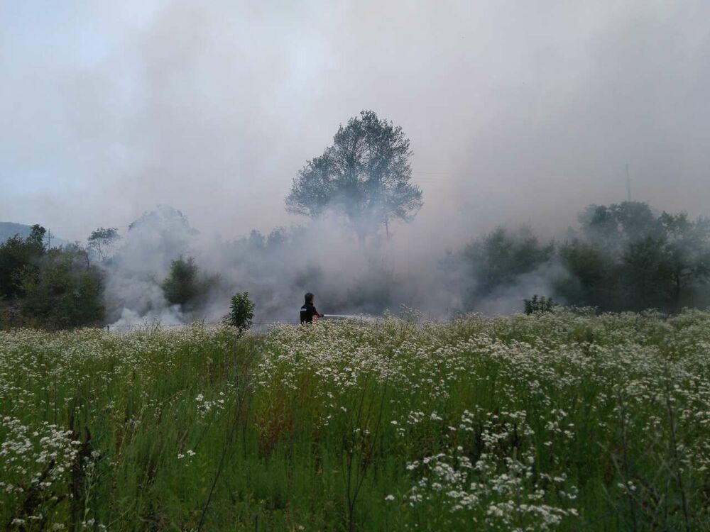 požar Cetinje, požari Cetinje