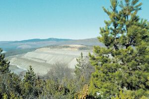 Jagnjilo prepuno, za jalovinu nema mjesta