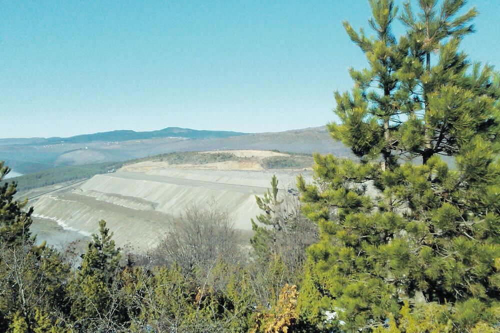 Jagnjilo, Foto: Goran Malidžan