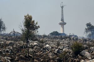 Podgorica: Situacija mirna, aktivna dva požara