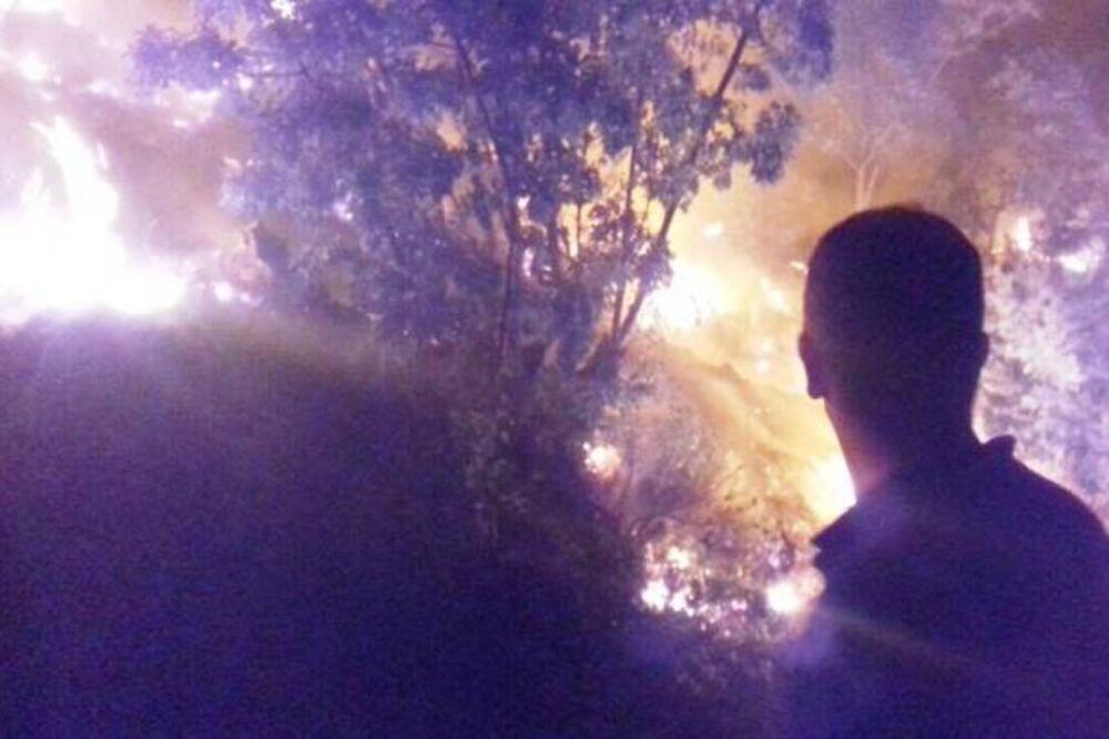 Požar, Cetinje, Foto: Prijestonica Cetinje