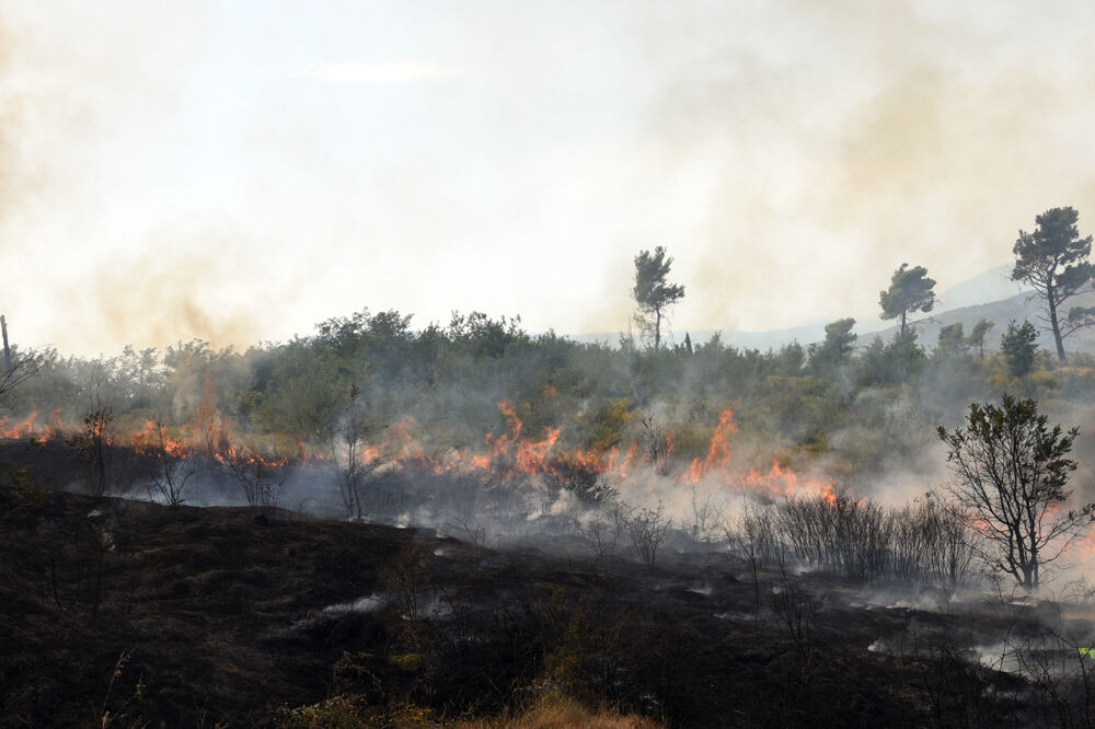 Dajbabska gora požar, Foto: Boris Pejović