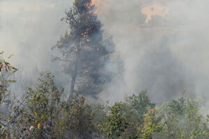Vjetar širi požar u Rogamima: Ekipe na terenu