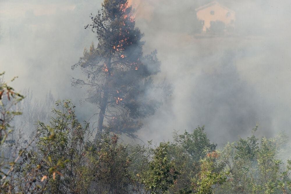 Dajbabska gora požar, Foto: Boris Pejović