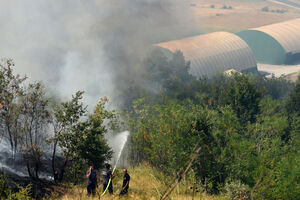 Veći požar izbio u Rogamima: Kuće su bile ugrožene