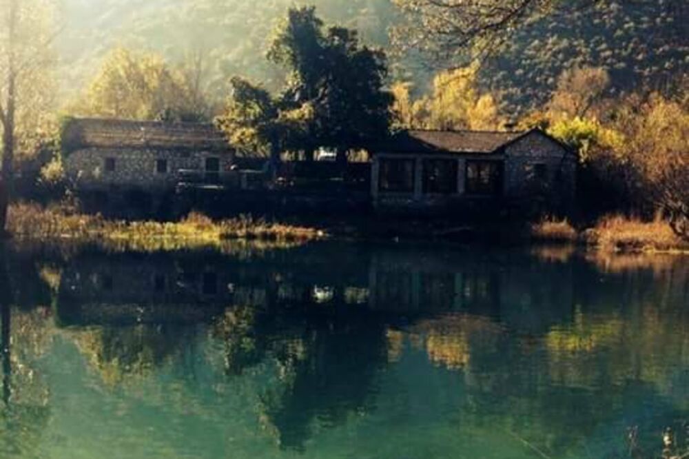 Tunjevo, Foto: Twitter