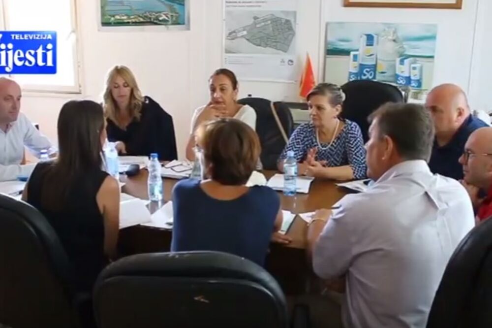 Sjednica Savjetodavnog tijela, solana Ulcinj, Foto: Screenshot (TV Vijesti)