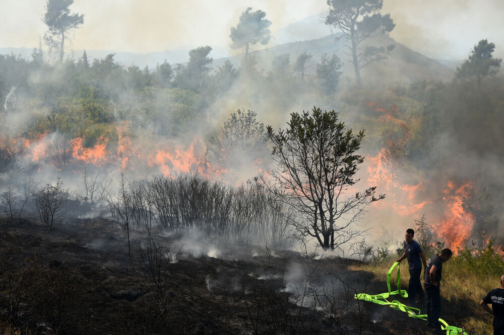 Dajbabska gora požar, Foto: Boris Pejović