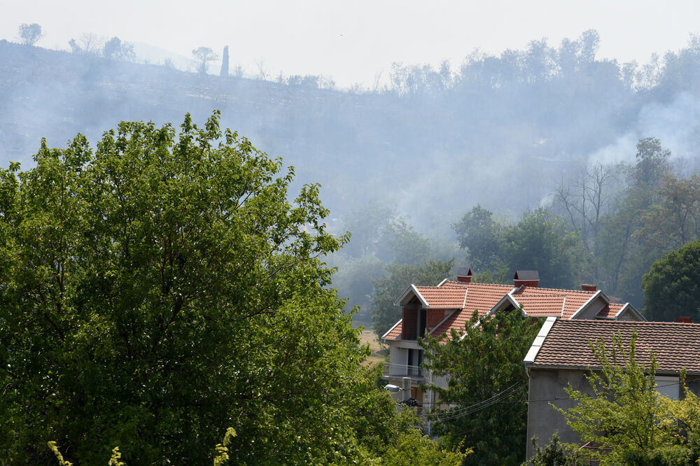 požar Dajbabska gora, Foto: Boris Pejović
