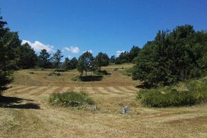 Veoma toplo, do 39 stepeni