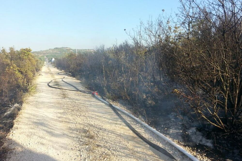 Požar Grabovac, Foto: SZS Tivat